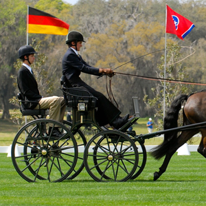 Jacob Arnold winning at the Little Everglades event in the USA driving a Bennington Presentation Carriage